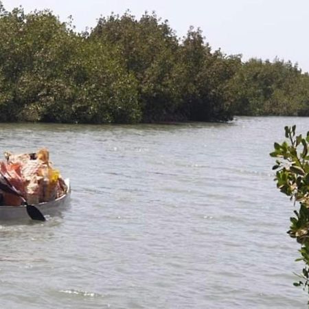 Mangrove Beach Sanyang ภายนอก รูปภาพ